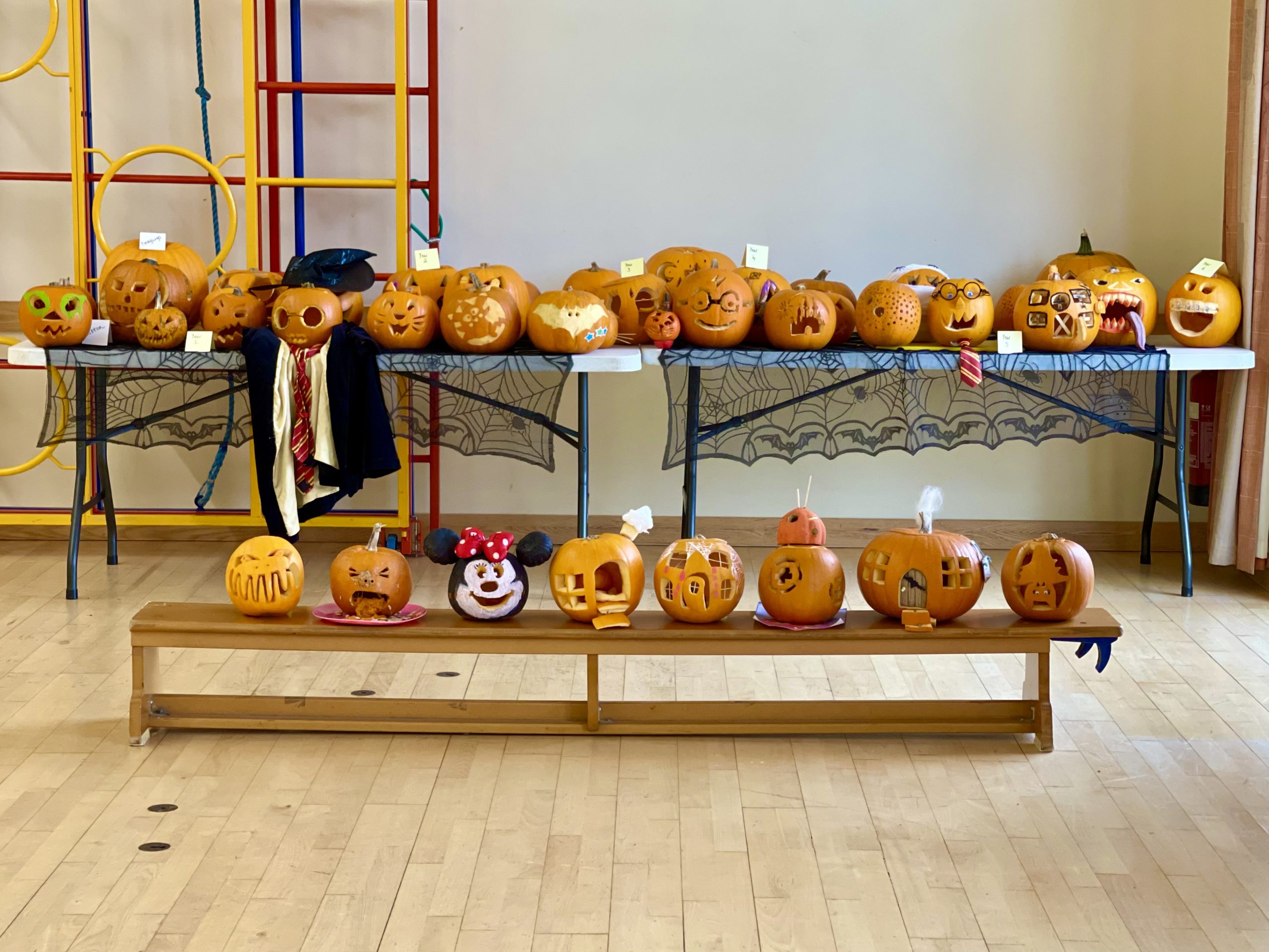 Pumpkin Competition